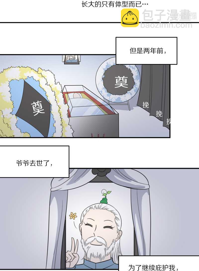 毛球星传说 第27集(1/3)-第27话