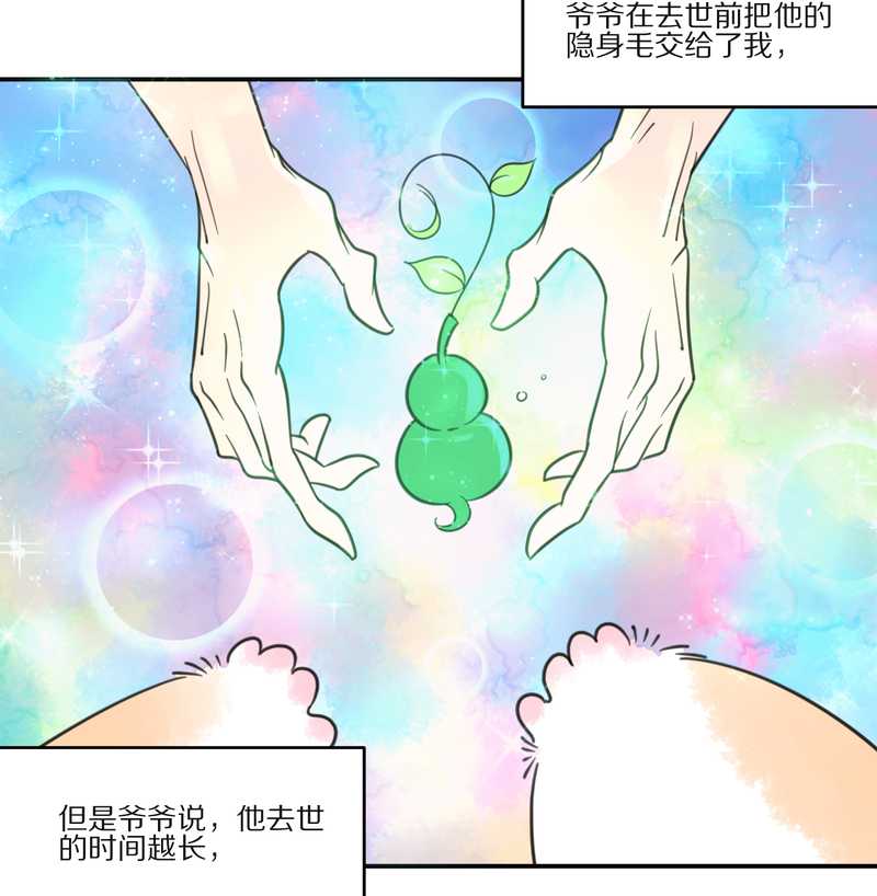 毛球星传说 第27集(1/3)-第27话