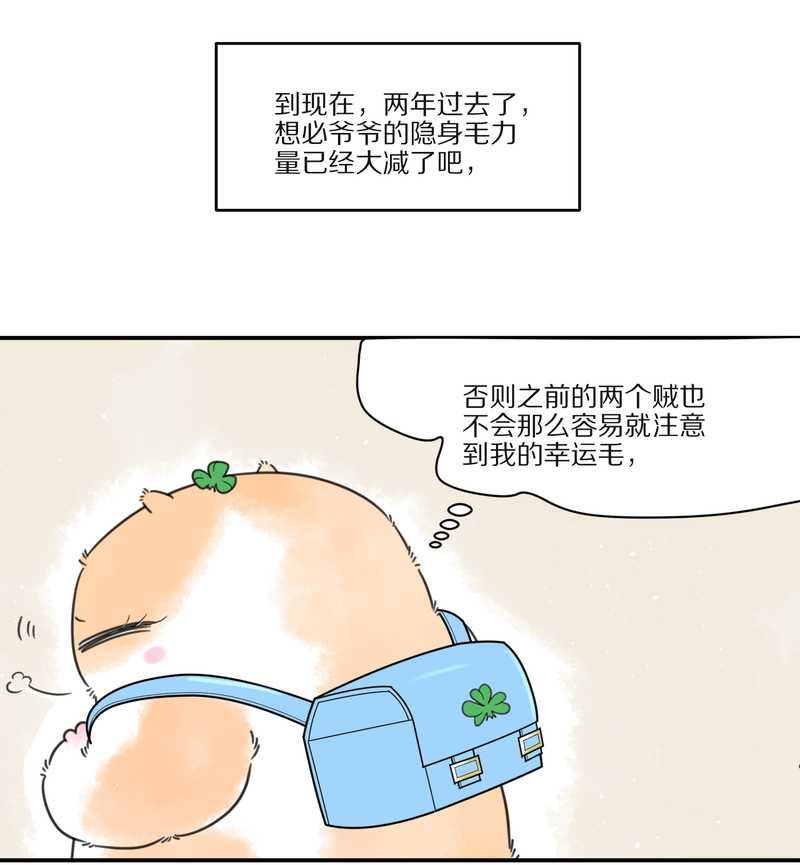 毛球星传说 第27集(1/3)-第27话