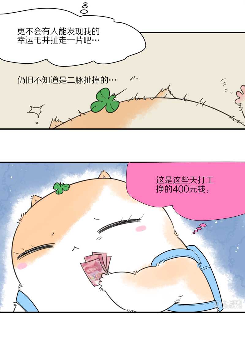 毛球星传说 第27集(1/3)-第27话