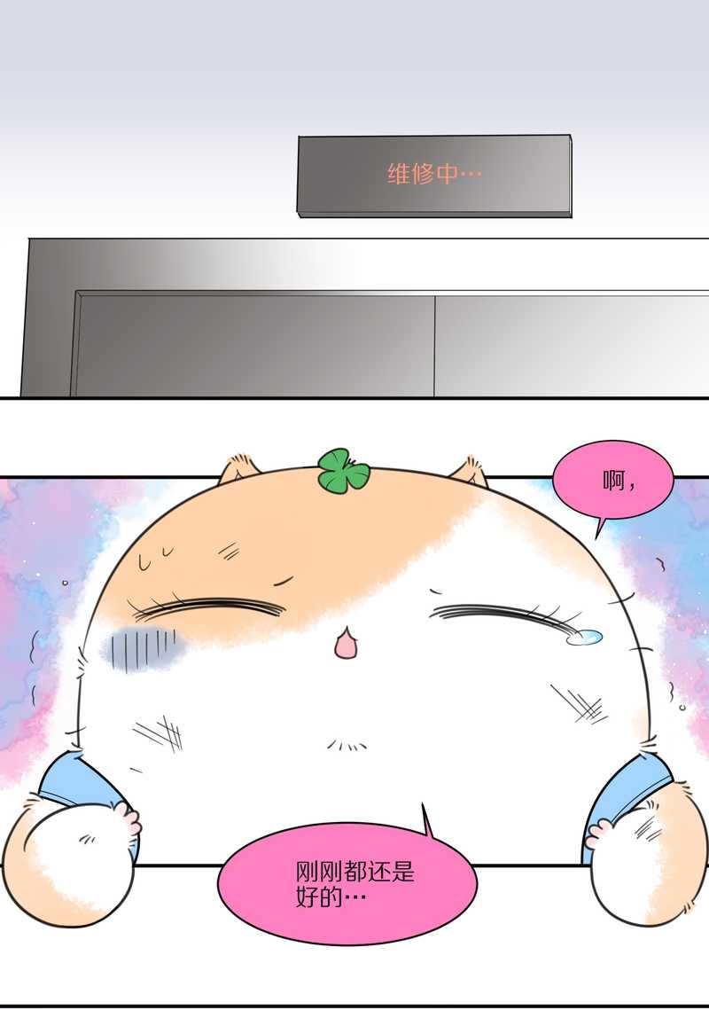 毛球星传说 第27集(1/3)-第27话