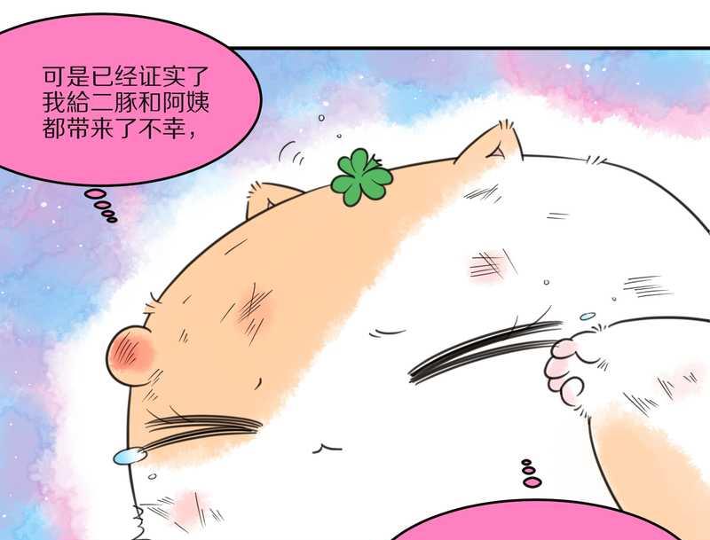 毛球星传说 第27集(1/3)-第27话