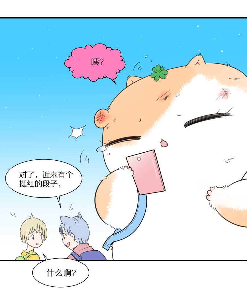 毛球星传说 第27集(1/3)-第27话