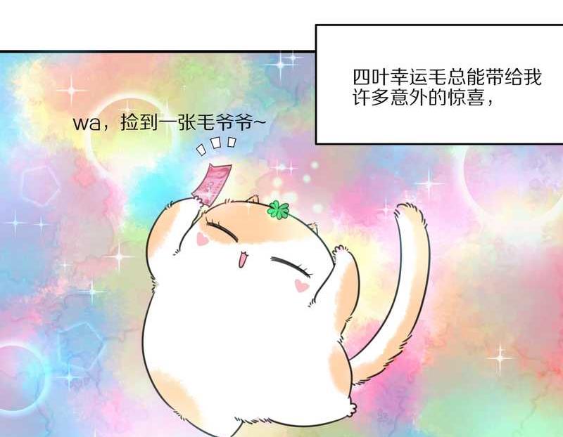 毛球星传说 第27集(1/3)-第27话