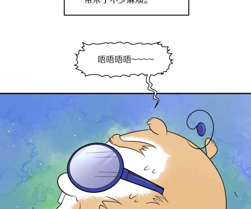 毛球星传说 第29集(1/3)-第29话