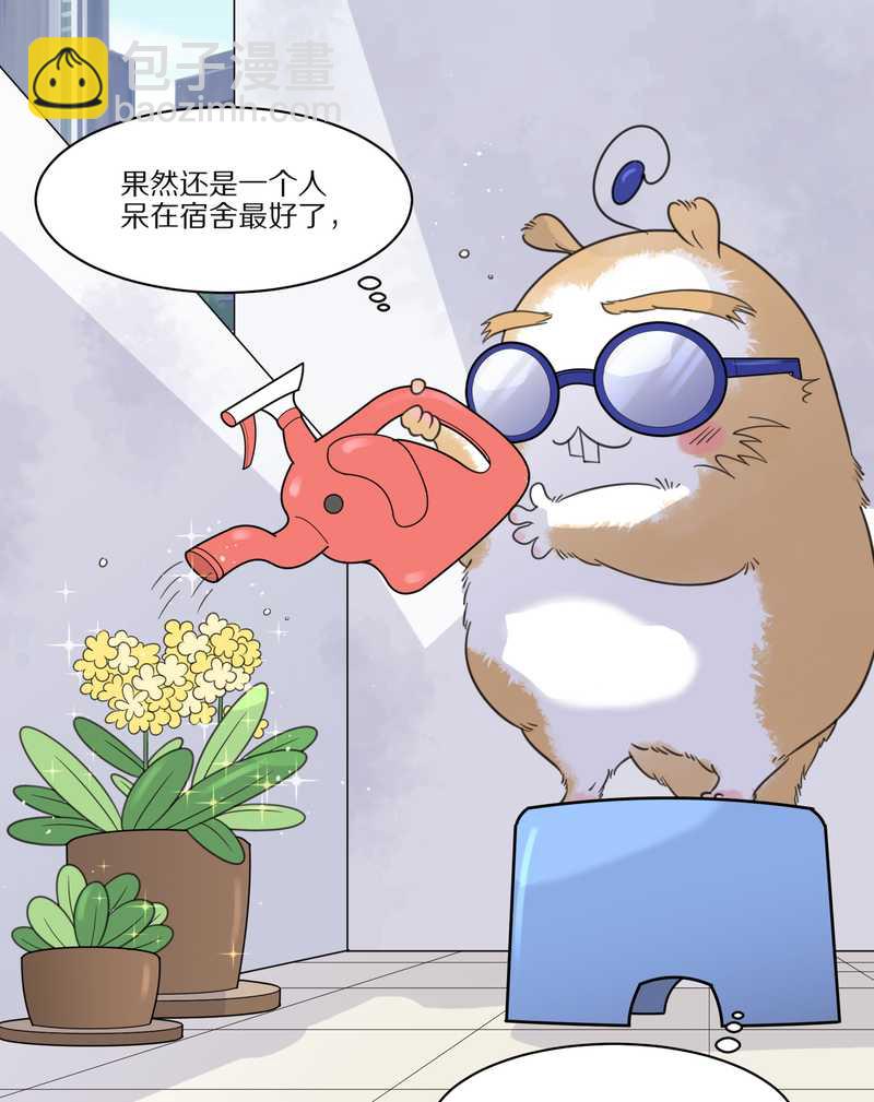 毛球星传说 第29集(1/3)-第29话