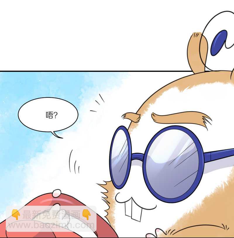 毛球星传说 第29集(1/3)-第29话
