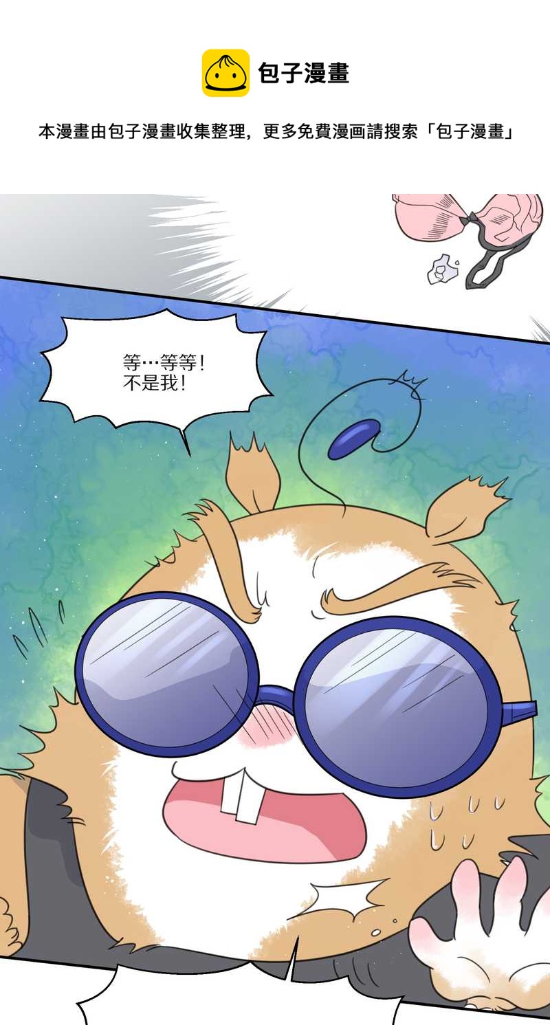 毛球星传说 第29集(1/3)-第29话