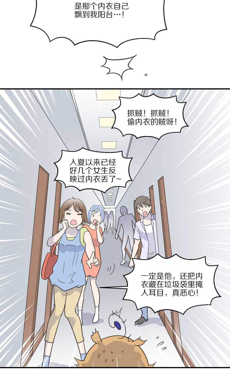 毛球星传说 第29集(1/3)-第29话