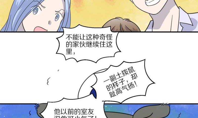 毛球星传说 第29集(1/3)-第29话