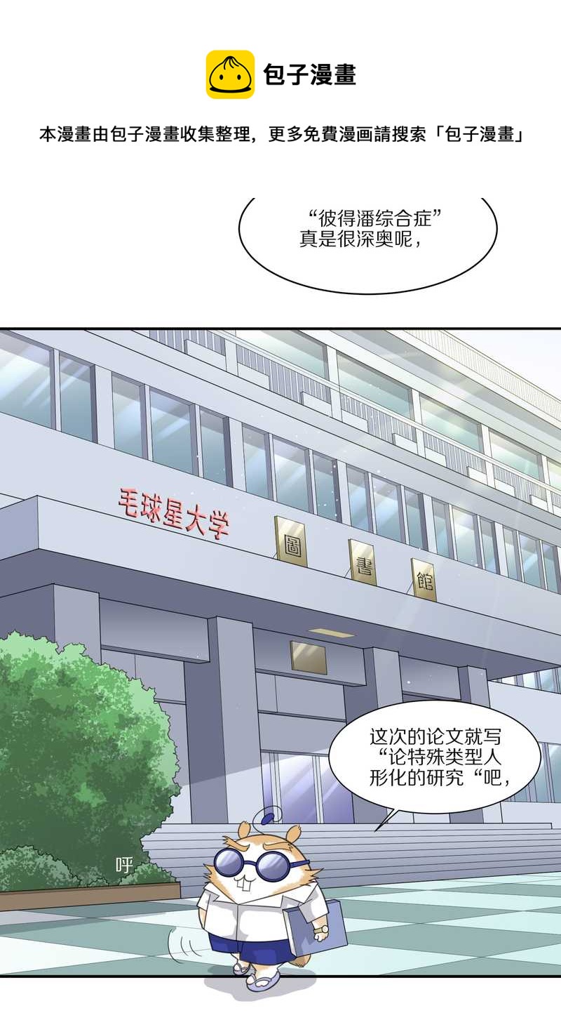 毛球星传说 第29集(1/3)-第29话