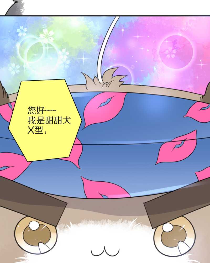 毛球星传说 第31集(1/2)-第31话