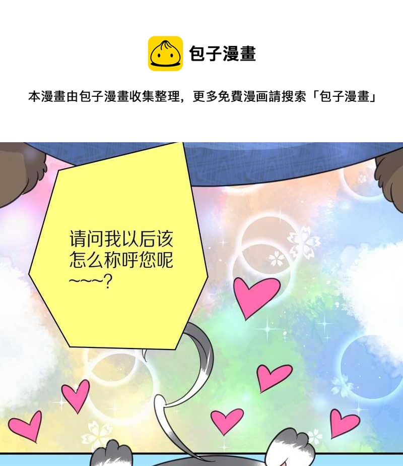 毛球星传说 第31集(1/2)-第31话