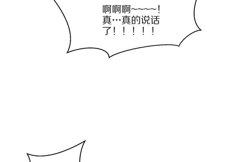 毛球星传说 第31集(1/2)-第31话