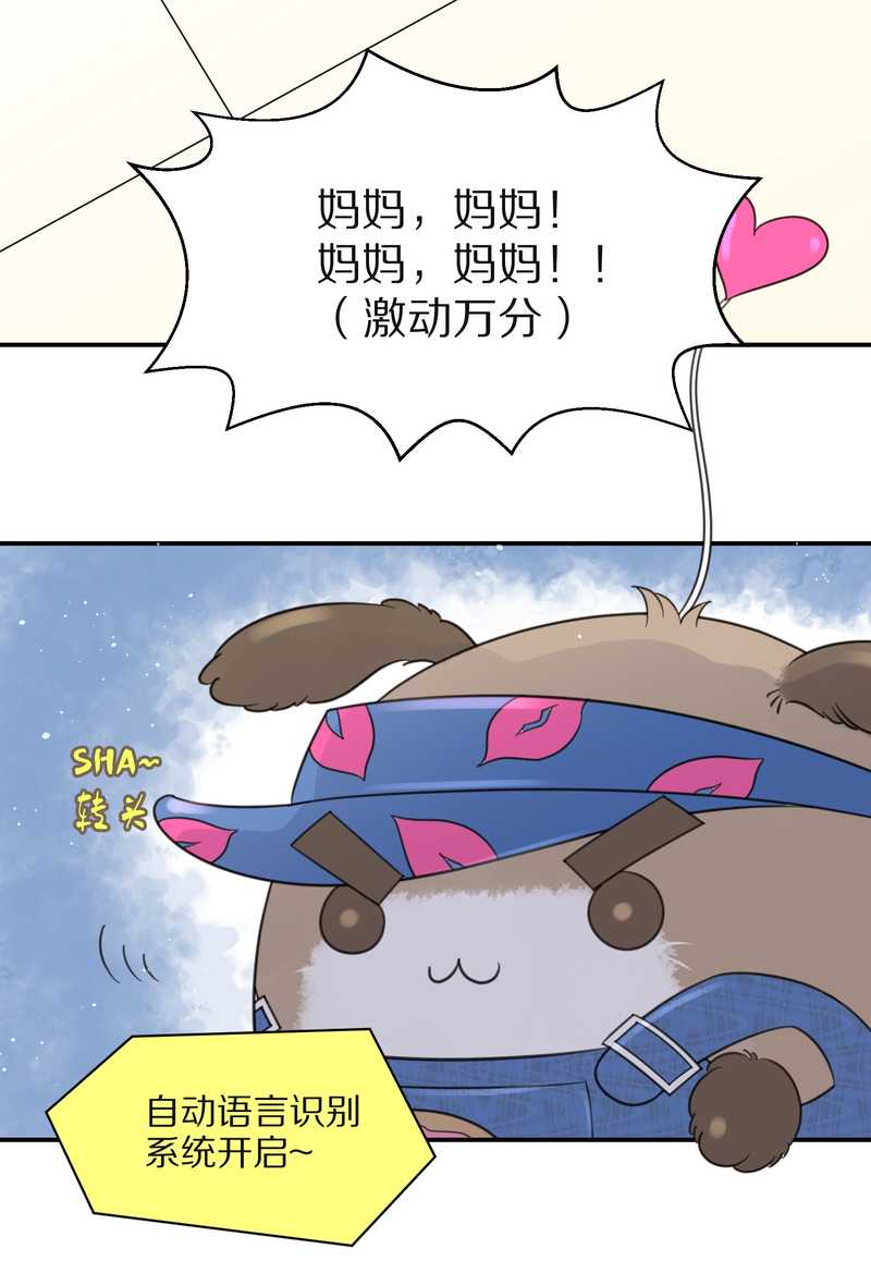 毛球星传说 第31集(1/2)-第31话