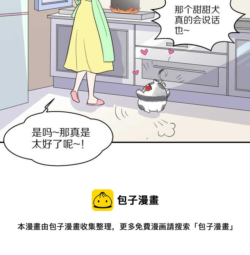 毛球星传说 第31集(1/2)-第31话
