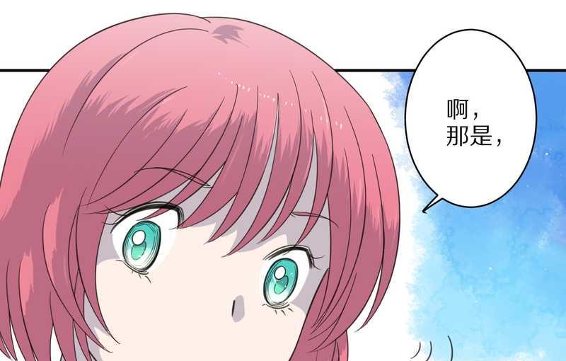 毛球星传说 第31集(1/2)-第31话