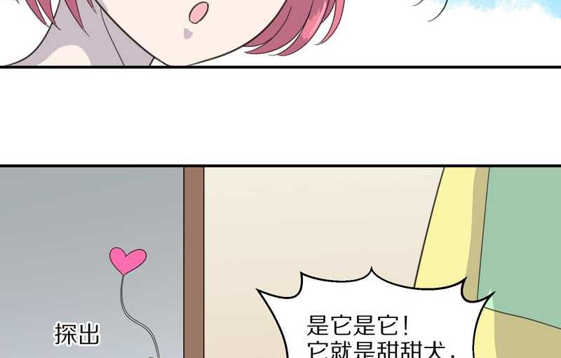 毛球星传说 第31集(1/2)-第31话