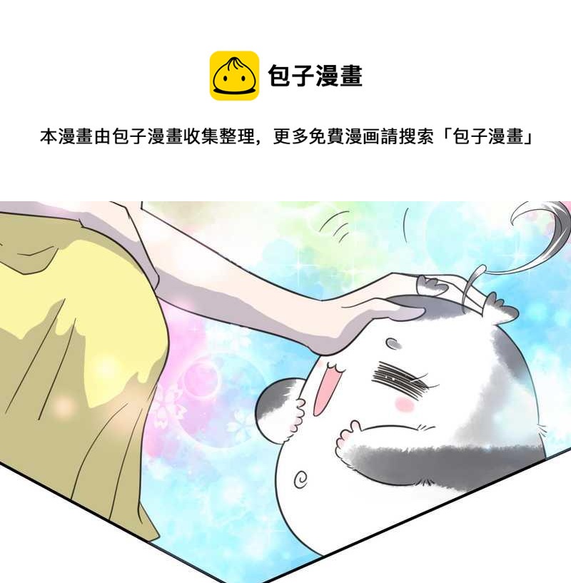 毛球星传说 第31集(1/2)-第31话