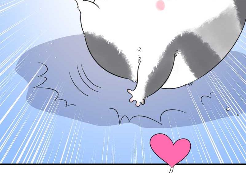 毛球星传说 第31集(1/2)-第31话