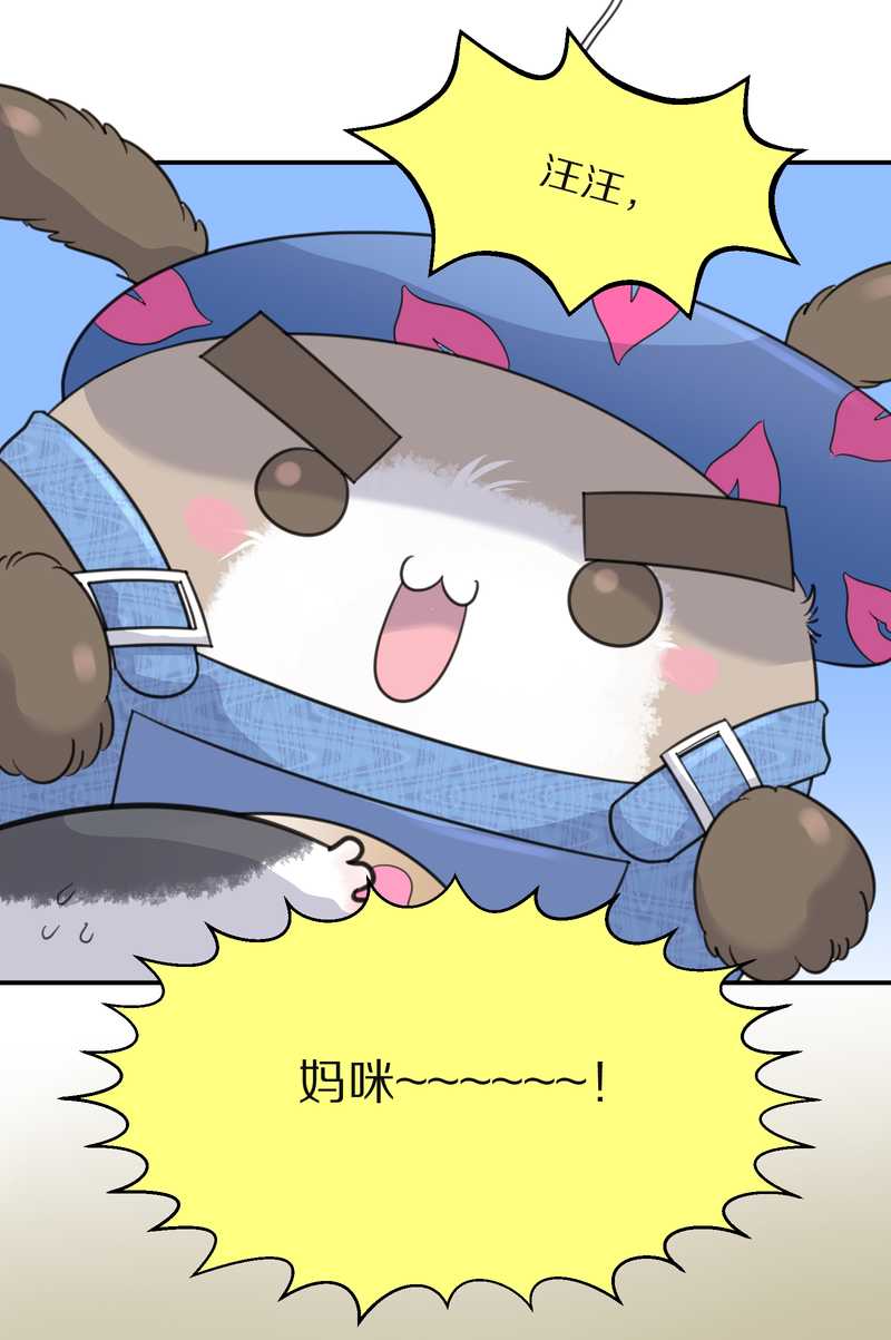 毛球星传说 第31集(1/2)-第31话