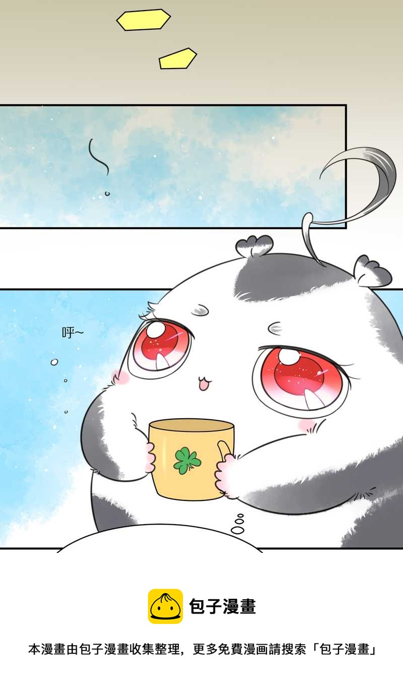 毛球星传说 第31集(1/2)-第31话