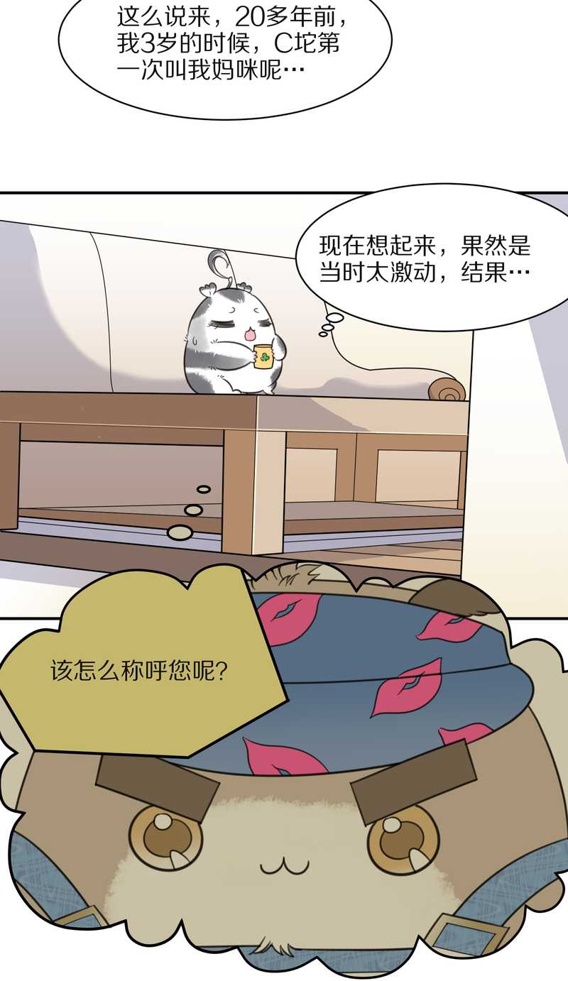 毛球星传说 第31集(1/2)-第31话