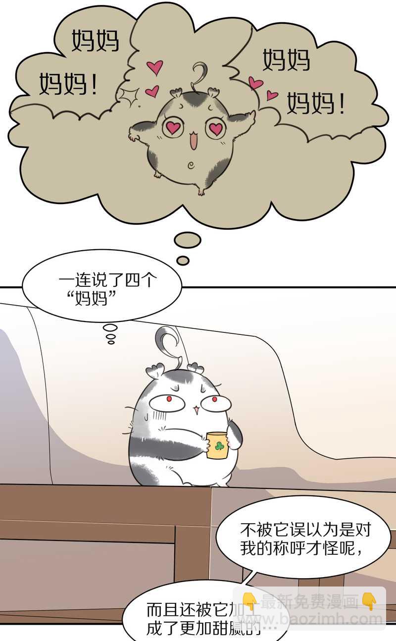 毛球星传说 第31集(1/2)-第31话