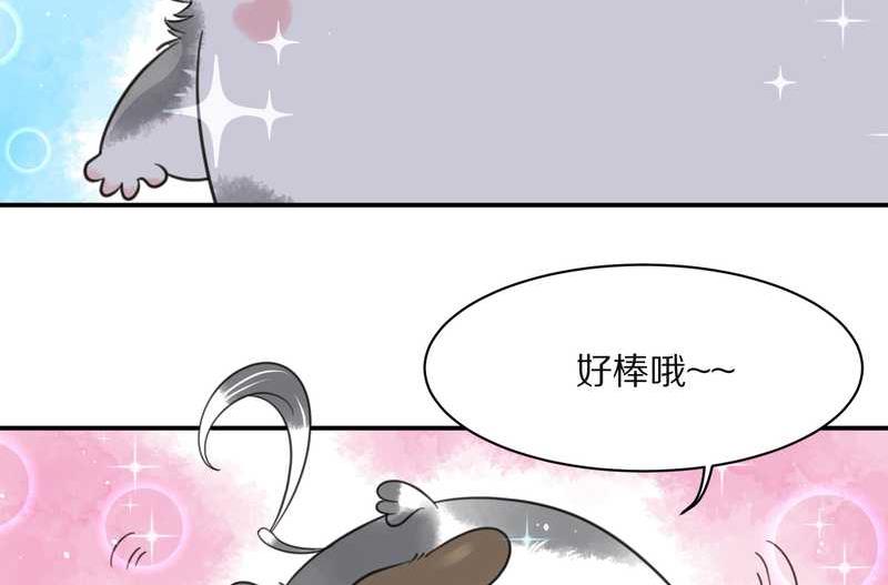 毛球星传说 第31集(1/2)-第31话