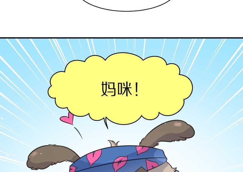 毛球星传说 第31集(1/2)-第31话