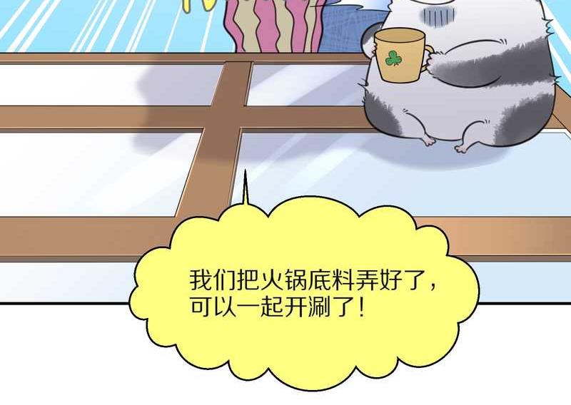 毛球星传说 第31集(1/2)-第31话
