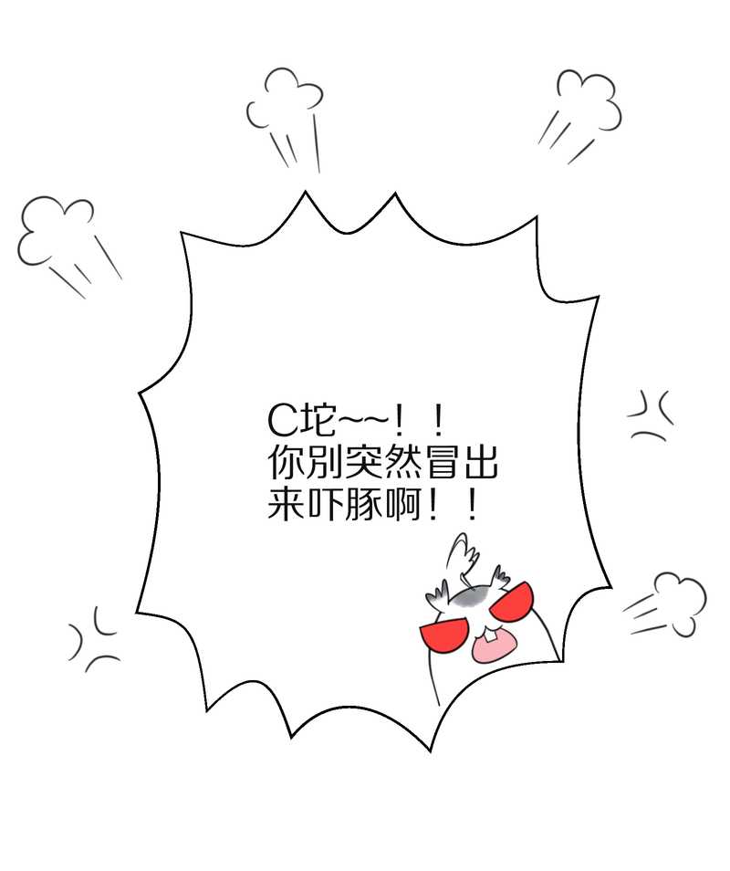 毛球星传说 第31集(1/2)-第31话