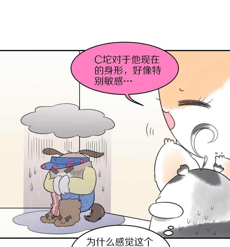 毛球星传说 第31集(1/2)-第31话