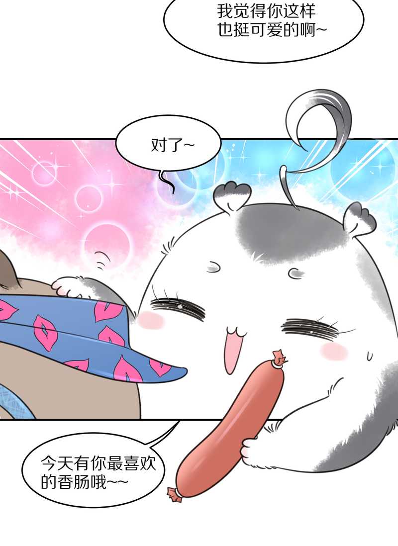 毛球星传说 第31集(1/2)-第31话