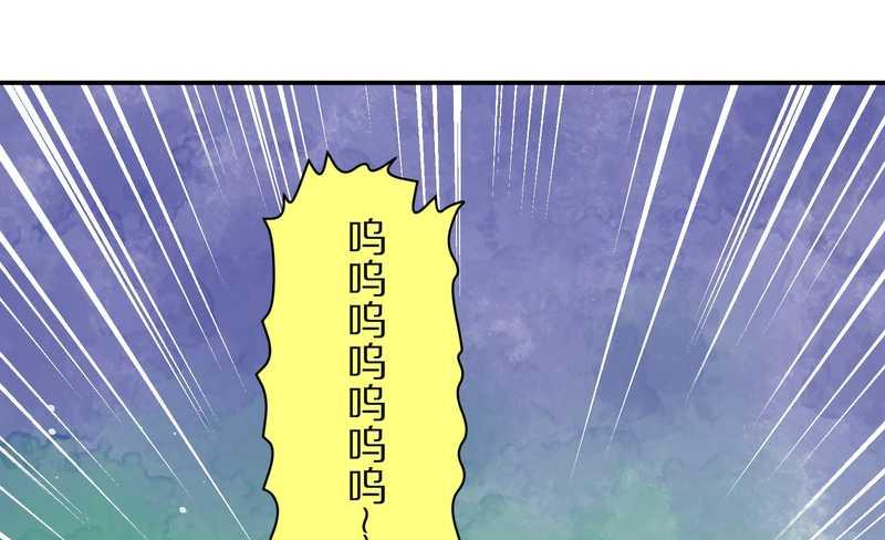 毛球星传说 第31集(1/2)-第31话