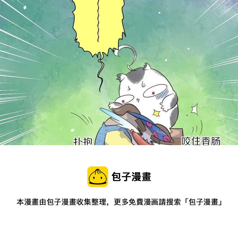 毛球星传说 第31集(1/2)-第31话