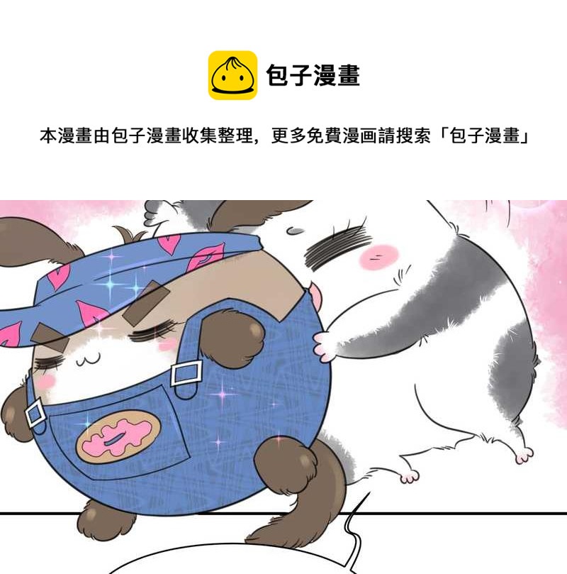 毛球星传说 第31集(1/2)-第31话