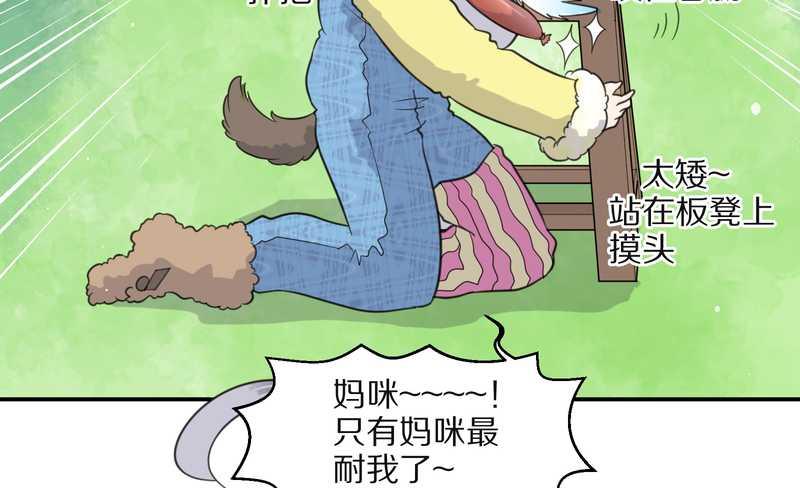 毛球星传说 第31集(1/2)-第31话