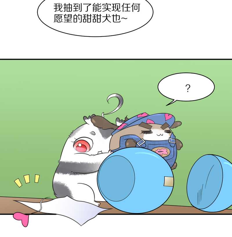 毛球星传说 第31集(1/2)-第31话