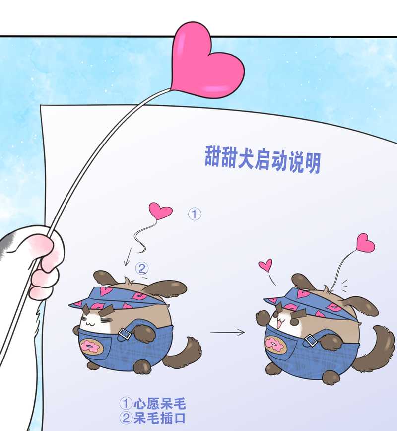 毛球星传说 第31集(1/2)-第31话