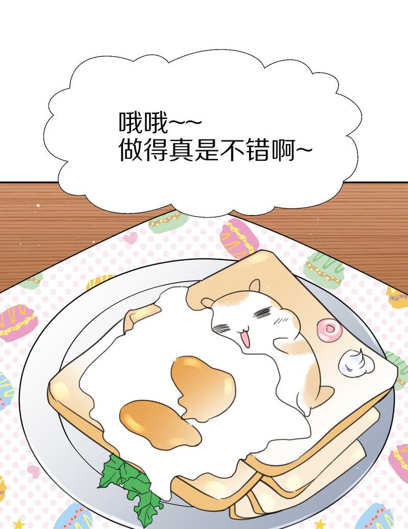 毛球星传说 第33集(1/3)-第33话