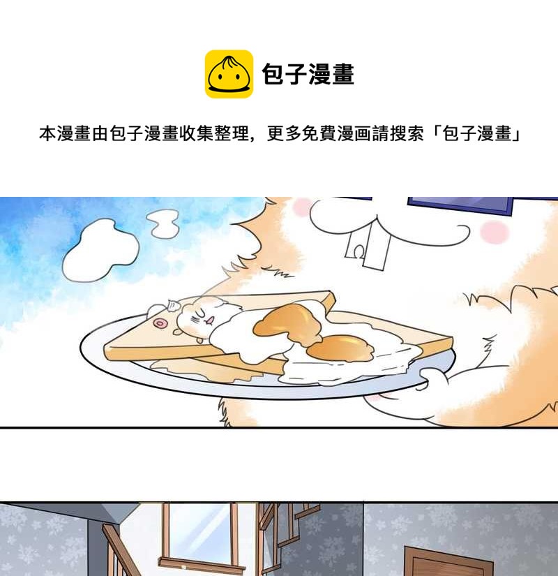 毛球星传说 第33集(1/3)-第33话