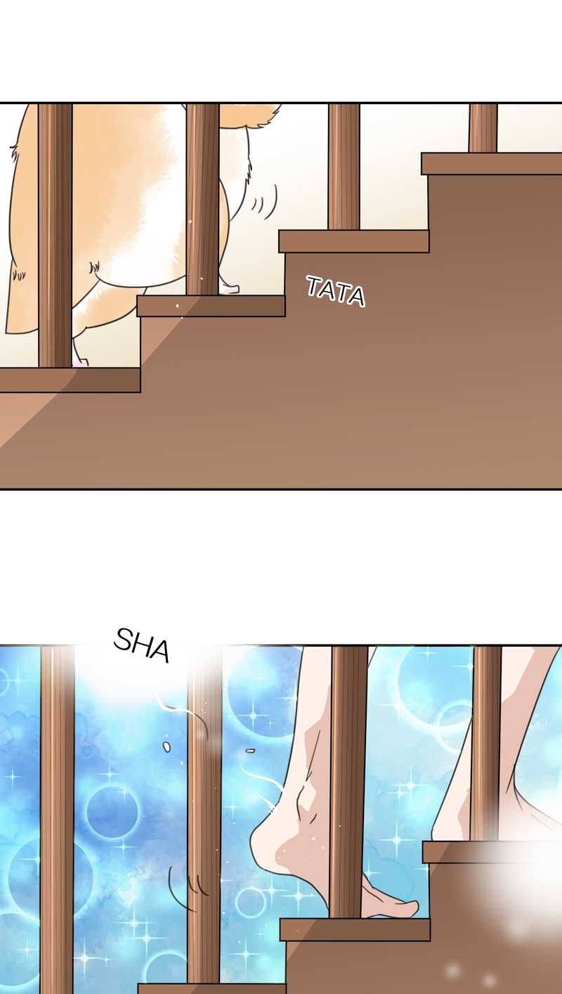 毛球星传说 第33集(1/3)-第33话