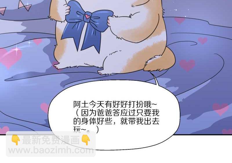 毛球星传说 第33集(1/3)-第33话