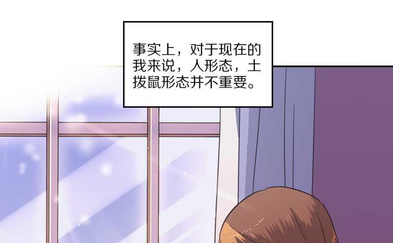毛球星传说 第33集(1/3)-第33话