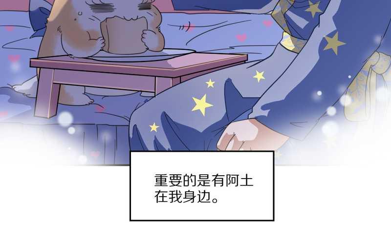 毛球星传说 第33集(1/3)-第33话
