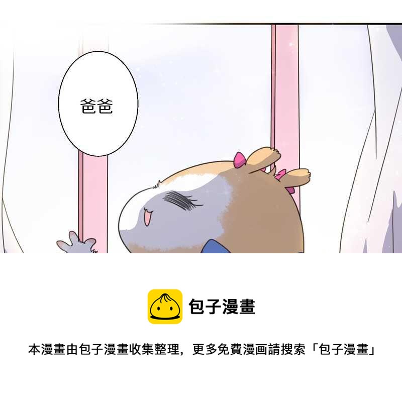 毛球星传说 第33集(1/3)-第33话