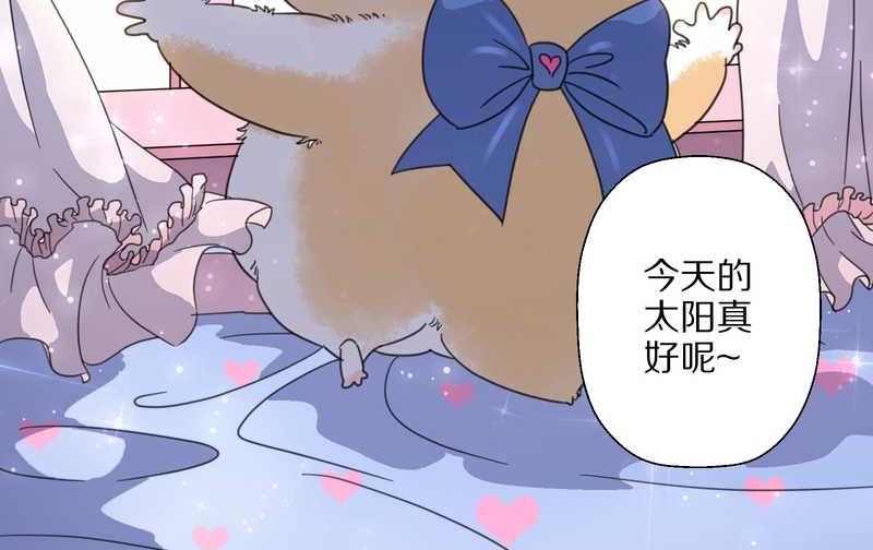 毛球星传说 第33集(1/3)-第33话