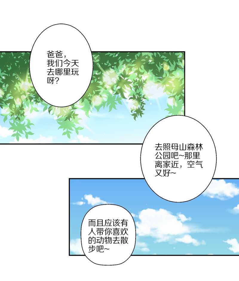 毛球星传说 第33集(1/3)-第33话