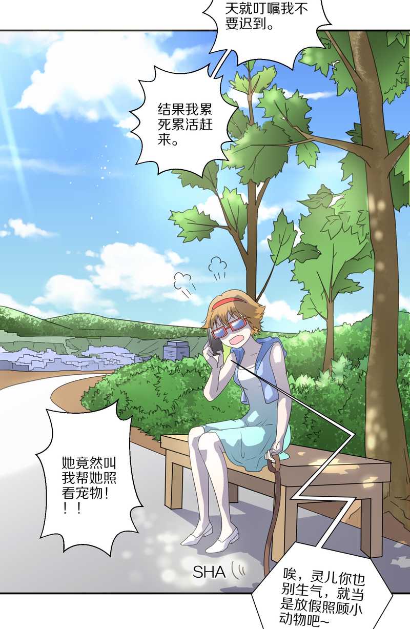 毛球星传说 第33集(1/3)-第33话